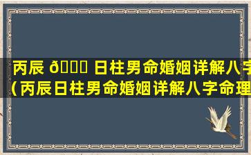丙辰 🐋 日柱男命婚姻详解八字（丙辰日柱男命婚姻详解八字命理）